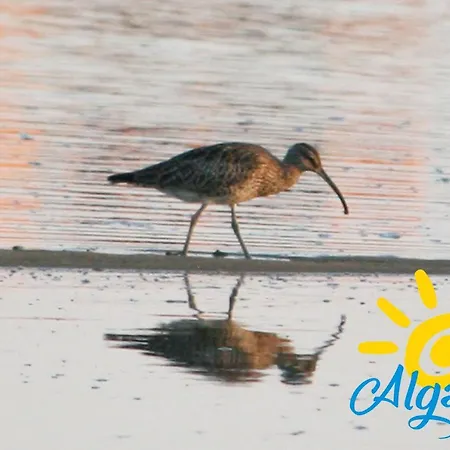 Foresti By Algartur * 卡巴纳斯·德·塔维拉